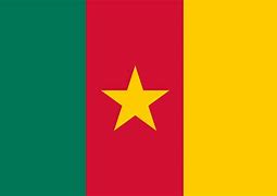 Drapeau Cameroun 60x90